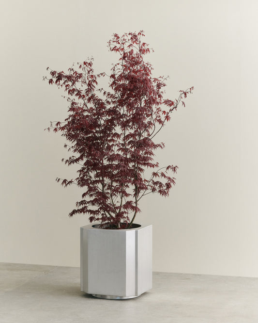 FUNKI POT X-LARGE