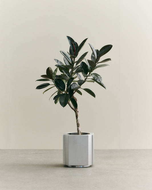 FUNKI POT MEDIUM