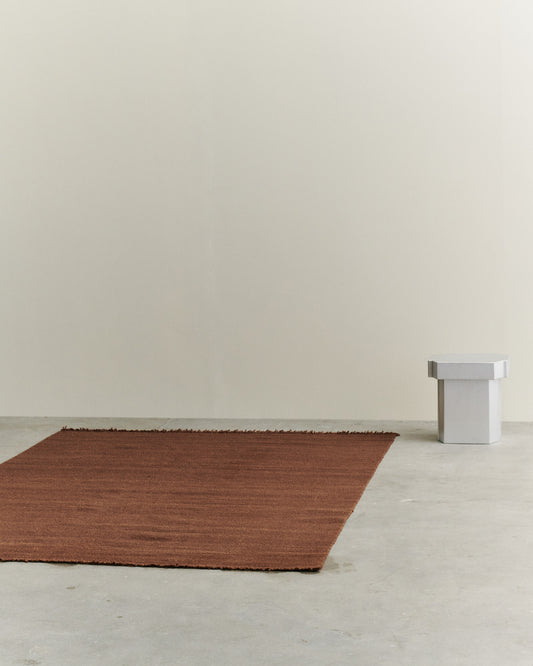 FOUND RUG 04